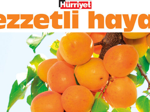 Tavuga da kebaba da yakisir z7Ubizu1